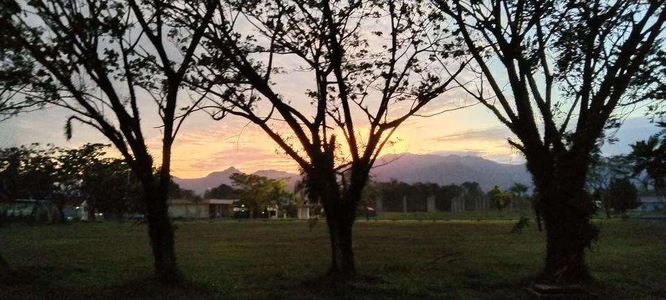 Sunrise view behind the tree Stock Photos