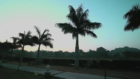 A sunrise view Stock Footage 293138264