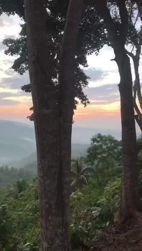 Sunrise view in the hills Stock Footage 167657961