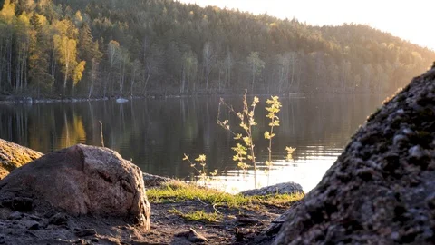 Sunrise view over the lake Stock Footage 129653708