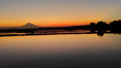 Sunrise view in the rice fields at the foot of the mountain Stock Footage 322121520