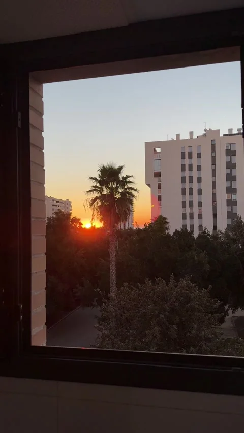 Sunrise view from a window framing palm trees, buildings and skyline in Alicante Stock Footage 297373588