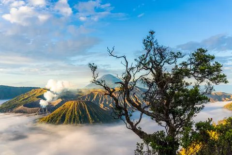 Sunrise at volcano Bromo, Java island, Indonesia. 스톡 사진