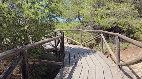 Sunrise walk on sandy trails bordered by wooden fences in a dune area near .. Video stock 316587286