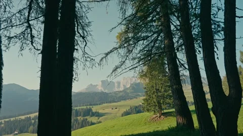 Sunrise Walk Through an Alpine Forest Capturing the Majestic Dolomites Valley 库存影片 331163712