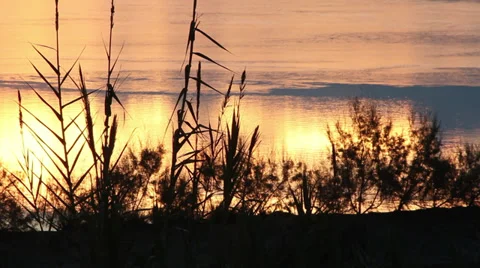 Sunrise on the water Stock Footage 34299590
