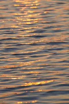 Sunrise on Water Stock Photos