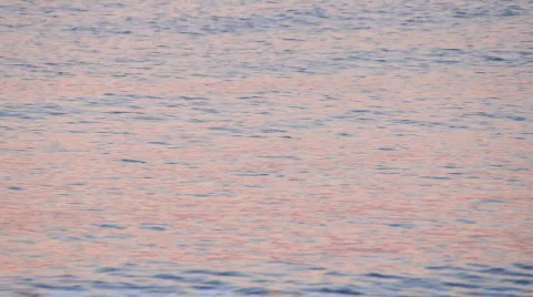 Sunrise water reflection Stock-Footage 841185