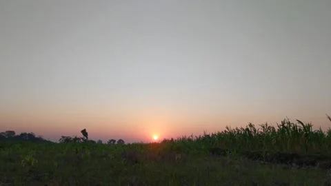 Sunrise when the sky is clear Video stock 205286889