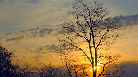 Sunrise on a windy Spring day, time lapse, seamless loop. Stock Footage 74932558