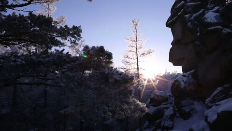 Sunrise in the winter forest. Stock Footage 70046206