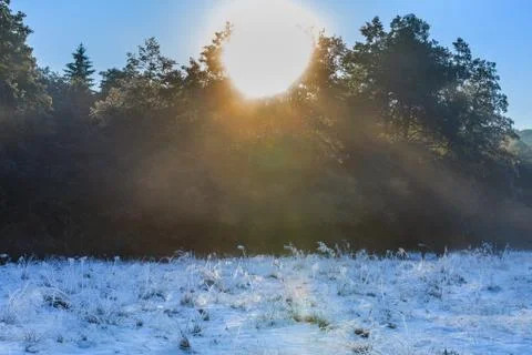 Sunrise in the winter Stock Photos