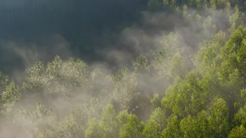 Sunrise Wispy Clouds Over Wilderness. Aerial Shot Stock Footage 300098831