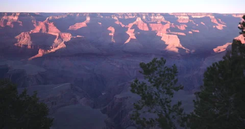 Sunrise at Yavapai Point Through Pine Trees Stock Footage 341538342