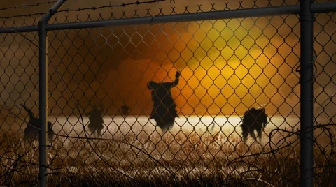 Sunrise Zombie Fields Stock Footage 54224955