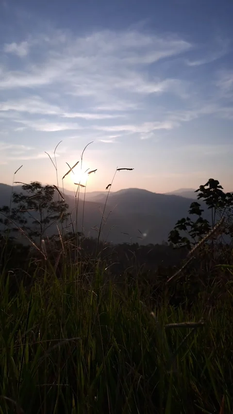 Sunrise02 動画素材 243418199