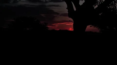 Sunrise2 Stock Footage 8762472