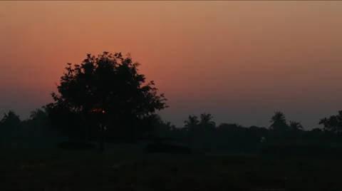 Sunriseontree HD Stock Footage 35009565