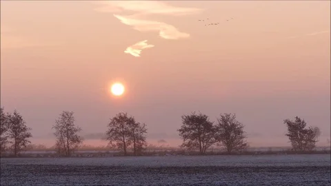 Sunrisere Video stock 74128842