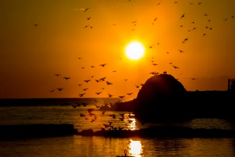 Sunrises and sunsets Stock Photos