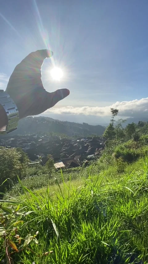 Sunrises 库存影片 242035131