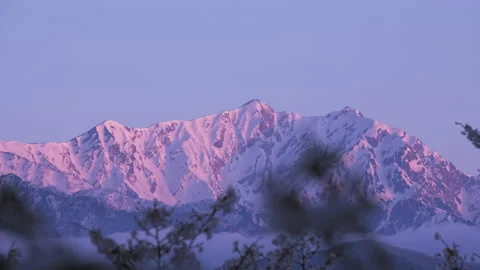 Sunrises glow snowy mountains of remaining and cherry blossom in the morning Stock Footage 152516680