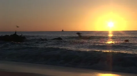 Sunrises Over Waves As Pelicans Fly Near Shore Stock Footage 1012583
