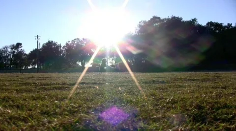 Sunrise/Sunset At The Dog Park Stock Footage 600662