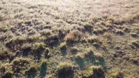 Sunrise/Sunset Drone Shot Video stock 269994609