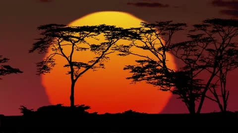 Sunrise/sunset over African Plain with Fiery Sky Stock Footage