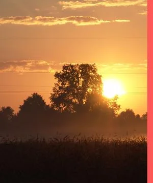 Sunrising behind a tree with white clouds Stock Photos
