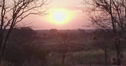 Sunrising on woods timelapse Vídeos de archivo 168322397