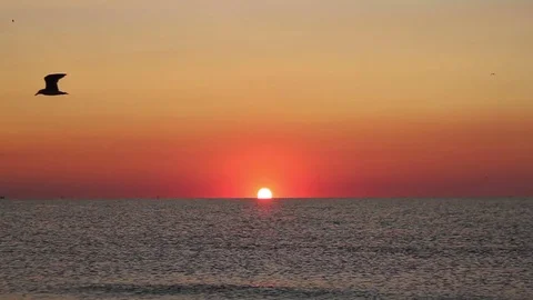 Sunrize for Title Vídeo Stock 79924573