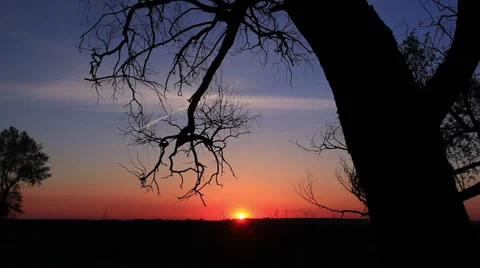 Sunruse in  wood with clouds Видео 39261394