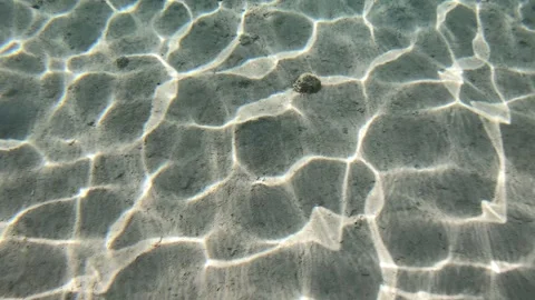 The sun's glare is reflected in sandy seabed, Red Sea Video stock 254790231