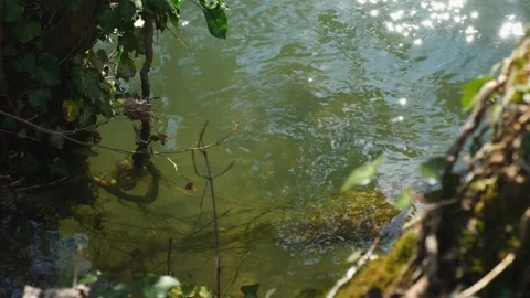 The sun's glare is a river. 動画素材 180963489