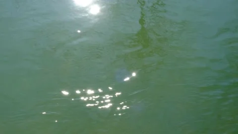 The sun's glare is a river Stock Footage 203676987