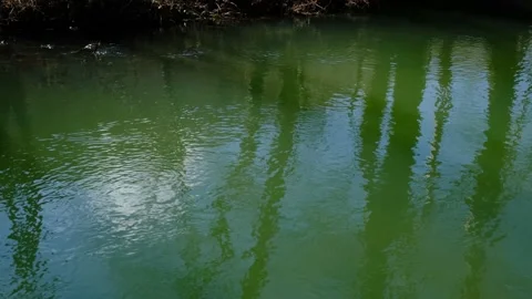 The sun's glare is a river Stock Footage 232717714