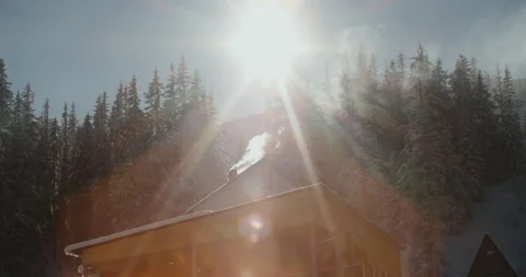 The sun's rays are making their way through snow-covered fir trees Video stock 269854409