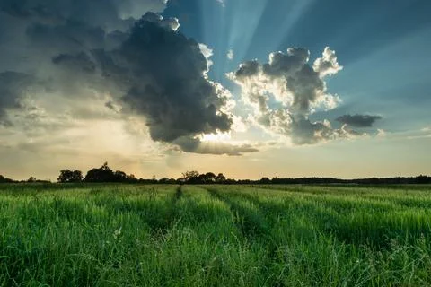 The sun's rays from behind the clouds over the green field Stock Photos