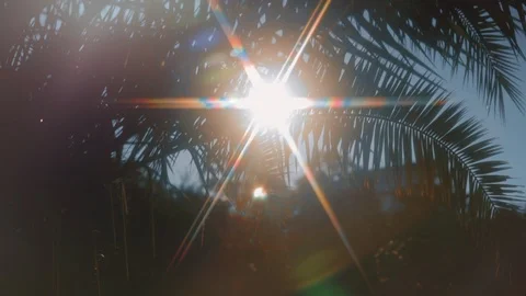 The sun's rays in the form of stars Stock Footage 108894162