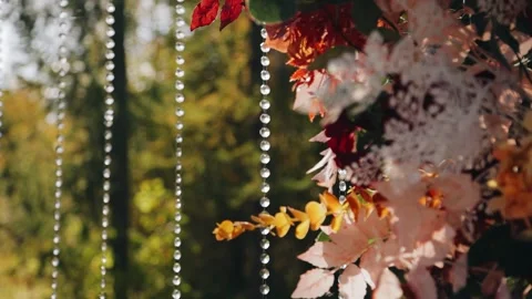 The sun's rays illuminate the wedding arch. Cool close-up Stock Footage 302930111