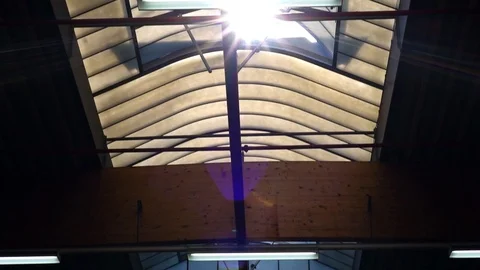 The sun's rays make their way through the glass roof of the plant Stock Footage 93447704
