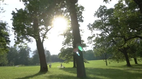 The sun's rays make their way through the foliage of tall trees in the city park Vidéo 108306270