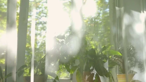 The sun's rays make their way into the room through the window. Vídeos de archivo 115446619