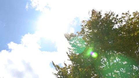 The sun's rays make their way through the leaves of the tree. Lens flare effect Stock Footage 126065345