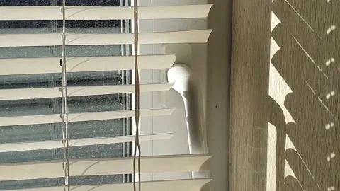 The sun's rays make their way through the blinds in the evening at sunset. Video stock 143346790