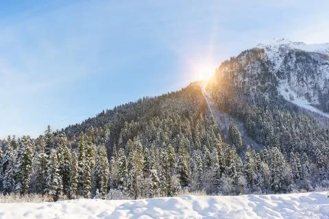 The suns rays make their way through the mountain, overgrown with fir forest. Foto stock