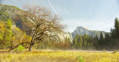 The sun's rays melts the snow in the meadows, in Yosemite National Park, Stock Footage 73415366