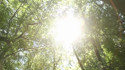 Sun's Rays - Natural Energy Video stock 38240791